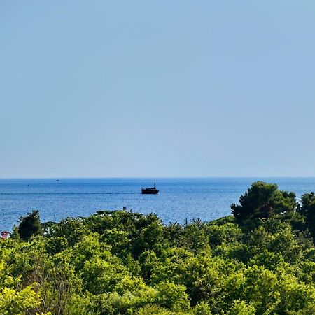 Apartman Del Mar Appartement Poreč Buitenkant foto